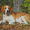 English Hound Diamond Painting