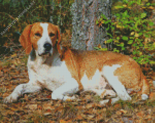 English Hound Diamond Painting