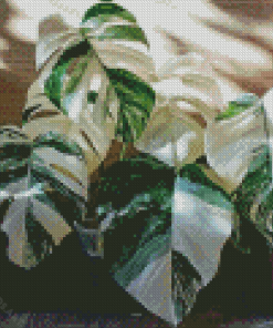 Green Leaves With White Plants Diamond Painting