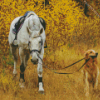 Horse Dog Diamond Painting
