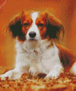 Kooiker Dog Diamond Painting