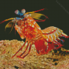 Mantis Shrimp Diamond Painting