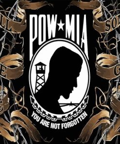 Pow Mia Diamond Painting