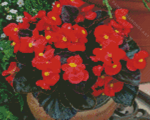 Red Begonias Pot Diamond Painting