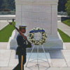 Unknown Soldier Diamond Painting