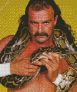 Wrestler Jake The Snake Diamond Painting