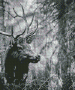 Black And White Elk Diamond Painting