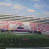 Camp Randall Diamond Painting