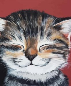 Cute Happy Cat Diamond Painting