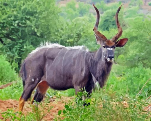 Nyala Diamond Painting