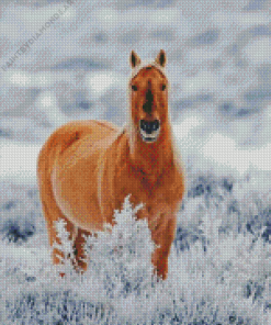 Palomino Mustang Diamond Painting