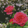 Pink Roses In Garden Diamond Painting