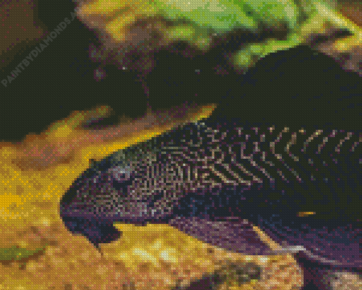 Pleco Fish Diamond Painting