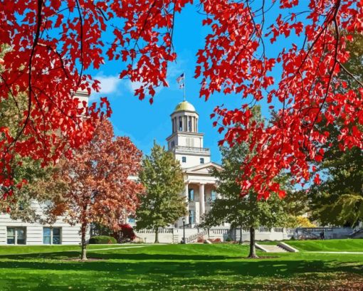 University Of Iowa Diamond Painting