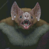 Vampire Bat Diamond Painting