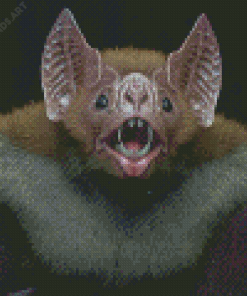 Vampire Bat Diamond Painting
