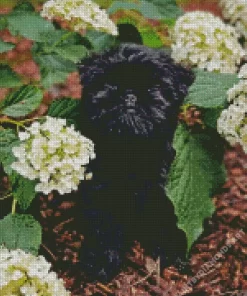 Affenpinscher Diamond Painting