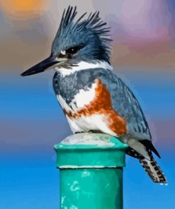 Belted Kingfisher Diamond Painting