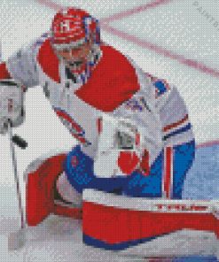 Carey Price Hockey Player Diamond Painting