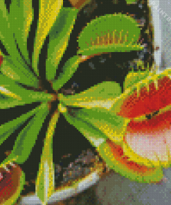 Carnivorous Plant Pot Diamond Painting