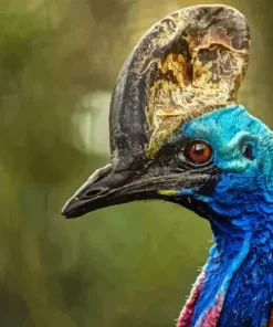 Cassowary Diamond Painting