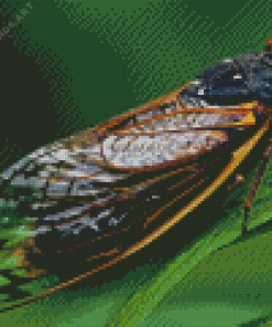 Cicadas Insect Diamond Painting