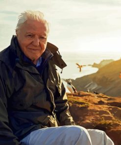 David Attenborough Broadcaster Diamond Painting