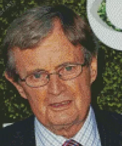 David McCallum Diamond Painting