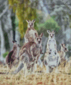 Eastern Grey Kangaroos Animals Diamond Painting