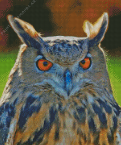 Eurasian Eagle Owl Bird Face Diamond Painting