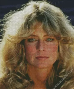 Farrah Fawcett Diamond Painting