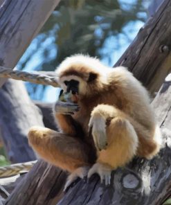 Gibbon Eating Diamond Painting