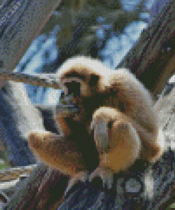 Gibbon Eating Diamond Painting