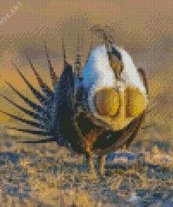 Greater Sage Grouse Bird Diamond Painting