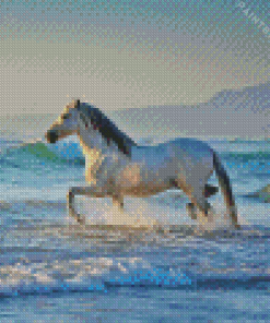 Horse Walking in The Beach Diamond Painting