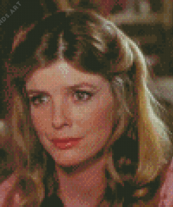 Katharine Ross Actress Diamond Painting