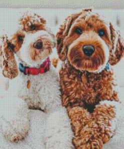 Labradoodle Puppies Diamond Painting