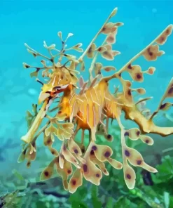 Leafy Seadragon Fish Diamond Painting