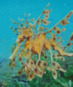 Leafy Seadragon Fish Diamond Painting