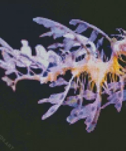 Leafy Seadragon Art Diamond Painting