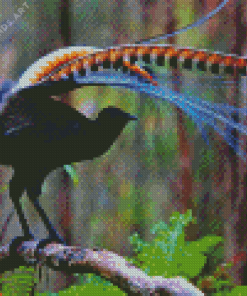 Lyrebird on Branch Diamond Painting