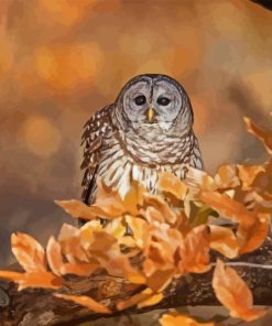 Owl in Fall Diamond Painting