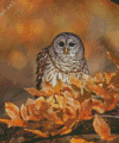 Owl in Fall Diamond Painting