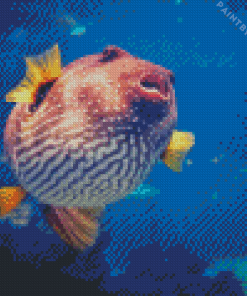 Puffer Fish Close Up View Diamond Painting