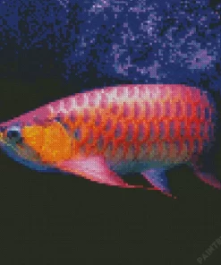 Red Asian Arowana Diamond Painting