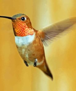 Rufous Hummingbird Flying Diamond Painting