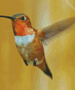 Rufous Hummingbird Flying Diamond Painting