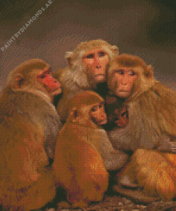 The Baboons Family Diamond Painting