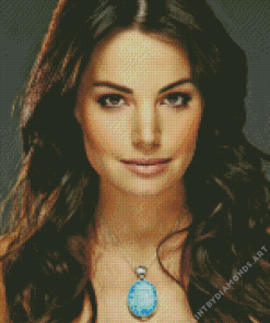 The Gorgeous Erica Durance Diamond Painting