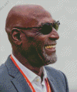 Viv Richards Side Profile Diamond Painting